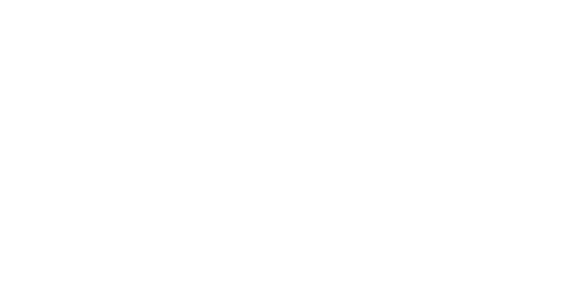 LGF Handyman Services